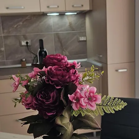 Apartament Cu Piscina Interioara Incalzita Sauna Jacuzzi Gym Parcare Langa Plaja